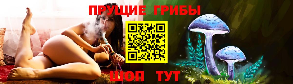 Галлюциногенные грибы Psilocybine cubensis  Галлюциногенные грибы мицелий  Дзержинск  Вход с VPN 
